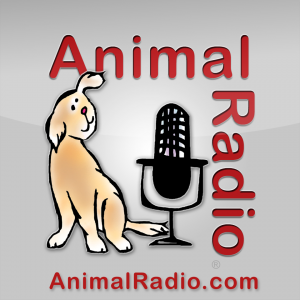 Animal Radio