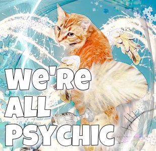 Popular niche podcast, looking for advertisers